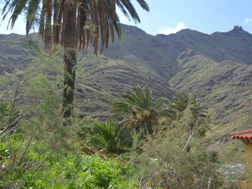 Casa Los Palmeros Perdomo Alojera エクステリア 写真